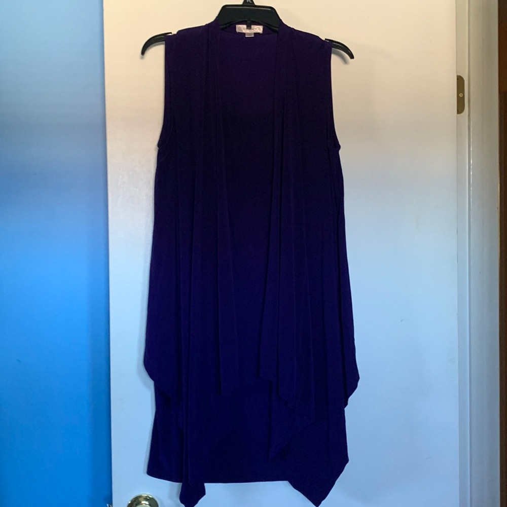 Beautiful purple dress with built in vest